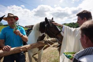 59138358_2248073418787783_8011167949064765440_o